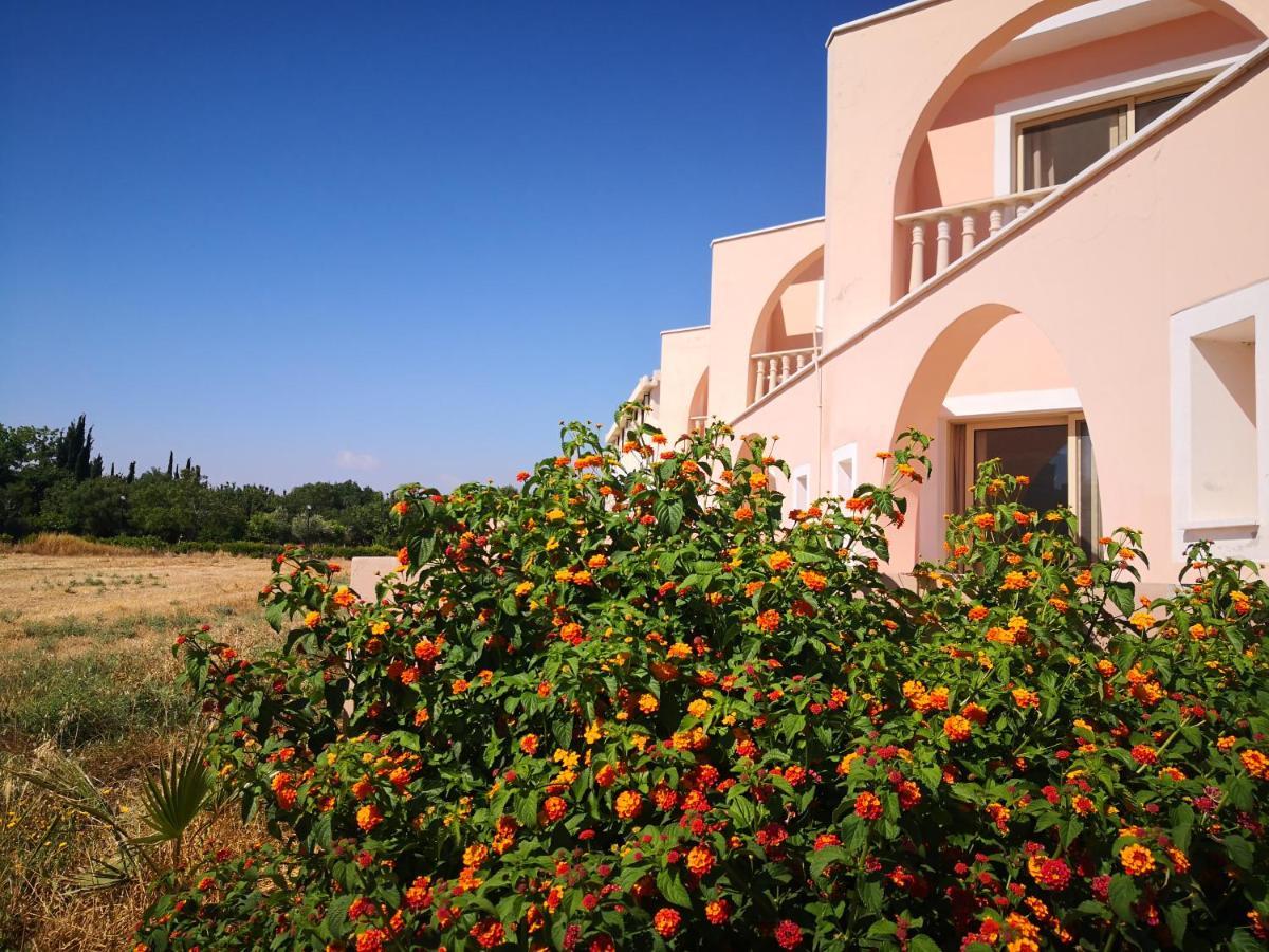Seashell Apartments Paphos Exterior foto
